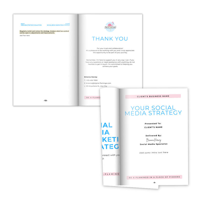 brand colours blue, pink and yellow, flamingo icon